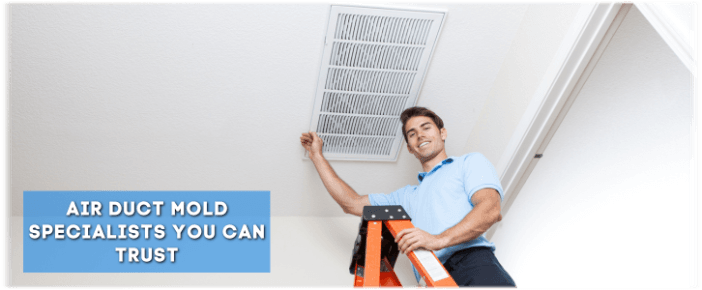 Air Duct Mold Removal in Mesa