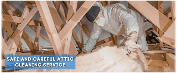 Attic Cleaning Mesa