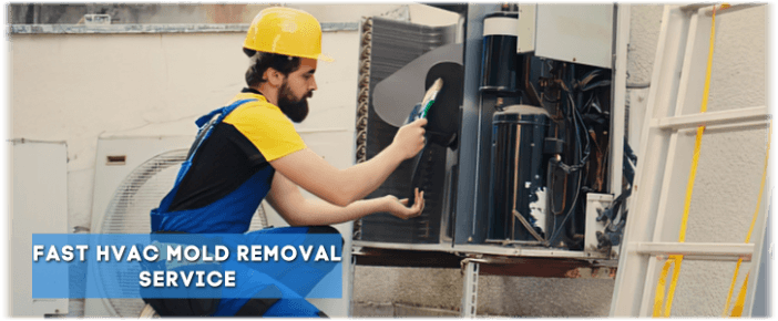 HVAC Mold Removal Mesa